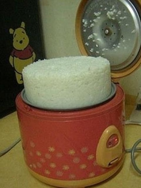 온라인 커뮤니티.  News1