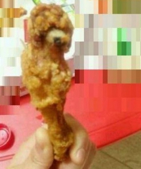 푸들 치킨 /사진=온라인커뮤니티