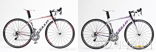 /이미지=이고운 기자