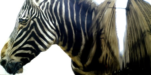 Jungle; Pilgrim(정글; 순례자), Oil on Panel, 182.88×91.44(cm), 2013 /사진제공=옵시스트아트 화랑