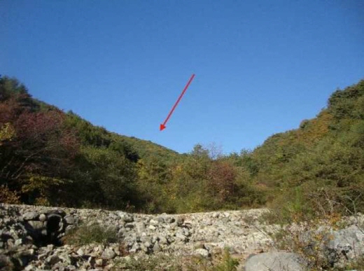 지난주 가장 높은 낙찰가율을 기록한 강원 영월군 대지. / 사진제공=태인