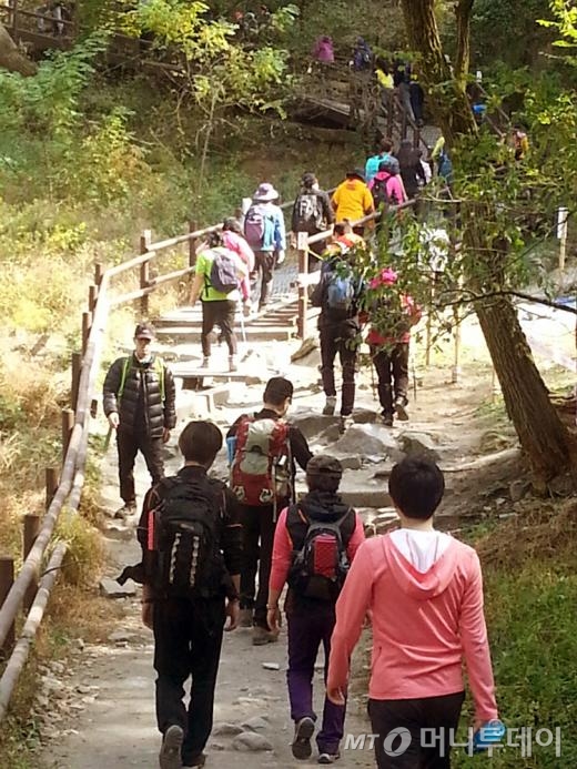 27일 단풍 절정을 맞은 북한산 국립공원은 등산객들로 인산인해를 이뤘다./사진=김평화 기자