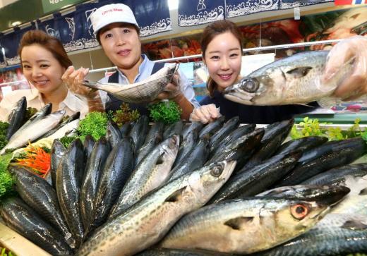 수험생의 영원한 친구 고등어. /사진=홍봉진 기자