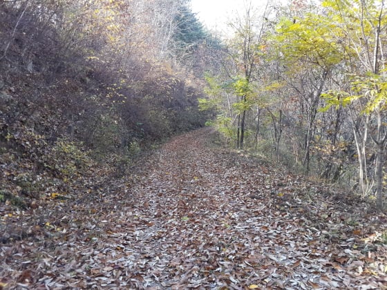 집다리길 늦가을