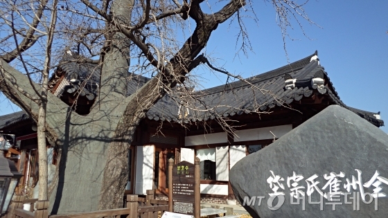 전주최씨종대. 1977년에 완공돼 종중의 행사나 모임을 위한 장소로 이용되고 있다. 종대에는 화수각 1동, 관리사동, 찻집과 사무실로 이뤄졌다. 집 앞에는 고려 우왕9년(서기 1383년)에 월당 최담 선생이 낙향해 식재한 은행나무가 있다. 600년 된 나무다. / 사진=김유경기자