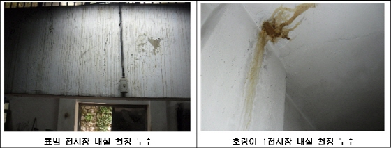 건물 내구력이 점점 약해지고 있어 안전관리가 필요한 맹수사/사진제공=서울대공원