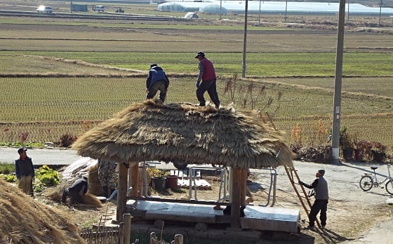 낙안읍성 밖에 있는 쉼터 지붕에 이엉이기를 하고 있는 모습 / 사진=김유경기자