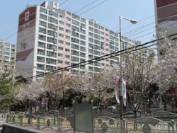 경기도 고양시 일산서구 탄현동 '임광진흥' 아파트 전경. / 사진제공 = 부동산태인