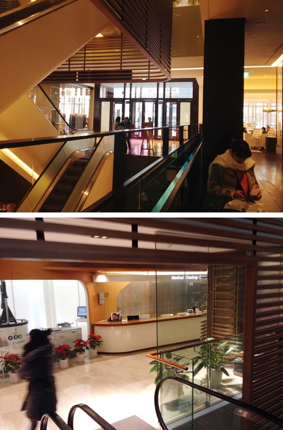 서울 강남구 청담동에 위치한 '피엔폴루스' 1층 상가(위)와 차병원에서 운영중인 회원전용 병원인 '차움' 내부. / 사진 = 이재윤 기자