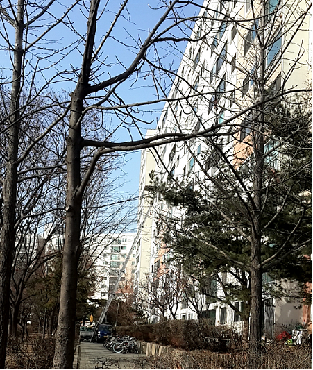 그래픽=강기영 디자이너