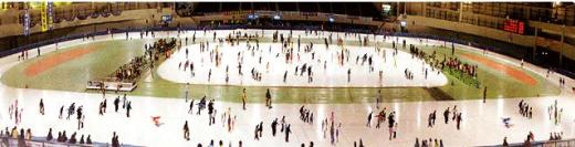 태릉국제스케이트장 소개/ 사진=태릉선수촌 홈페이지