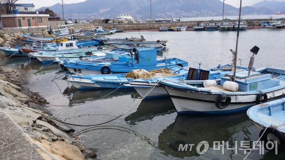 신덕마을 부두에 정박 중인 어선들./사진=양영권 기자