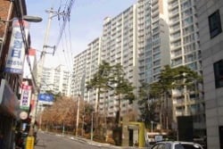 경기 고양 일산동구 숲속아파트.