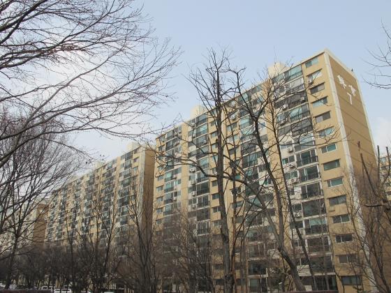 대치 선경아파트 전경.