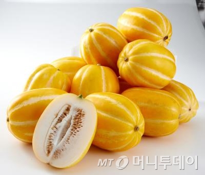 사진제공=롯데마트