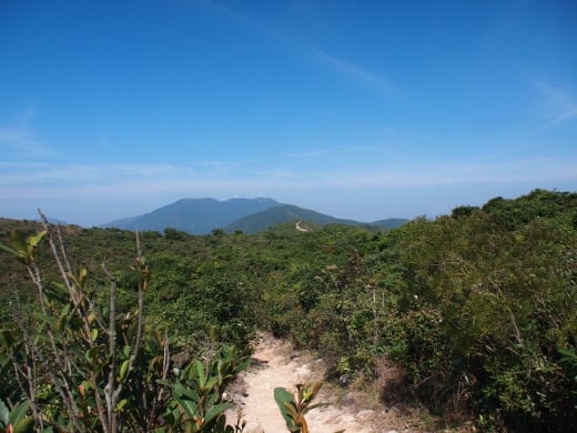 ↑ 등산로