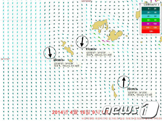 사고 당일 오전 9시 조류예측도. 사고 지점 조류는 당시 39cm/s(약 0.7k’t)로 물의흐름이 빠르지 않은 것으로 나타나있다/자료=국립해양조사원© News1
