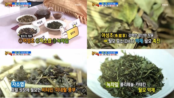 /사진=MBN '엄지의 제왕'