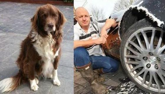 차주와 반려견 '콜리', 그리고 물어뜯긴 운전석 펜터/사진=유튜브 영상 캡쳐