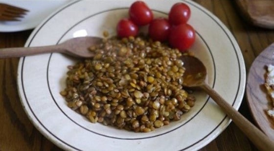 /사진=이효리 블로그