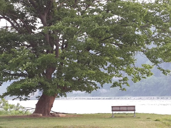 /사진제공=작은경제연구소