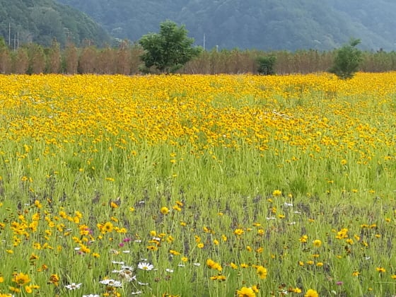 /사진제공=작은경제연구소