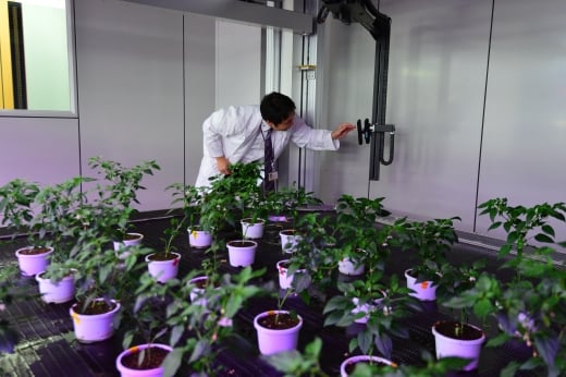 KIST 강릉분원 유팜에 설치된 3D 센서 카메라