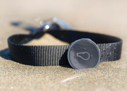 휘슬 GPS는 위치 추적 기능이 탑재됐지만 여전히 동전만한 크기다.