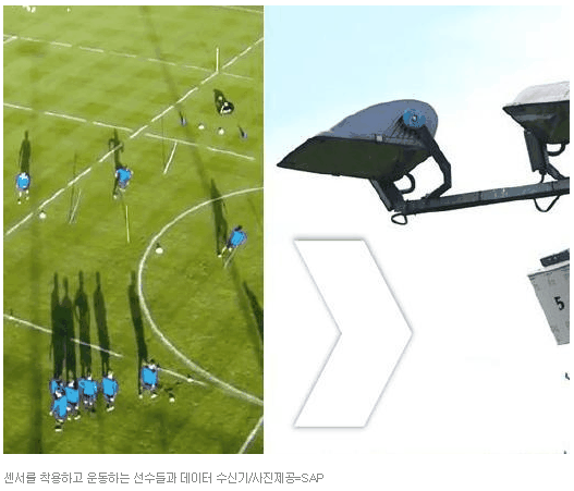 센서를 착용하고 있는 운동선수들/사진제공=SAP