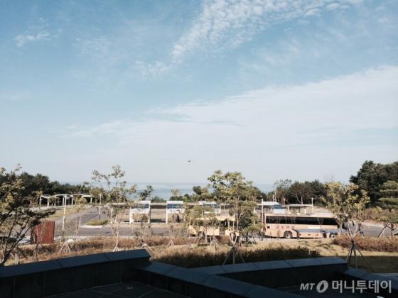 건물 인근은 잡초밭, 앞은 휑한 주차장 부지다. 미래에너지과학관 건설을 위한 추가 투자가 꼭 필요한 상황이다/사진=머니투데이DB