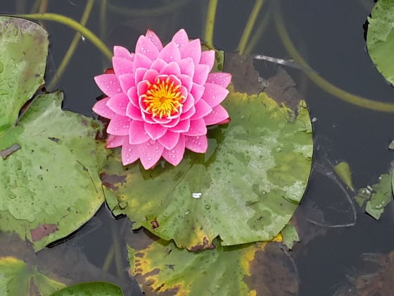 /사진제공=작은경제연구소