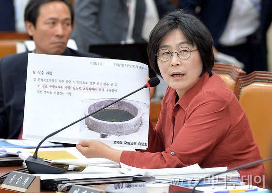 유승희 새정치민주연합 의원. /사진= 뉴스1