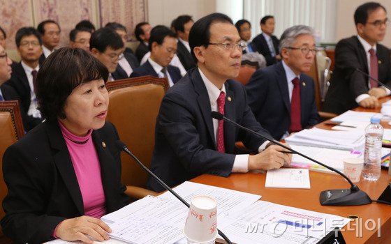 나선화 문화재청장이 24일 서울 여의도 국회에서 열린 교육문화체육관광위원회의 문화체육관광부 등 산하기관에 대한 국정감사에서 의원들의 질의에 답변하고 있다. 2014.10.24/사진=뉴스1