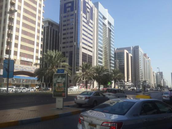 아랍에미리트 아부다비 시내 전경/사진=진경진 기자