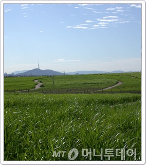 서울둘레길과 이어져 있는 하늘공원.