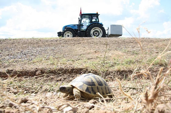 /사진제공=강기태 여행대학 대표