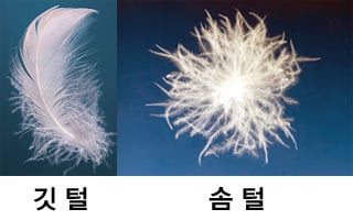 /사진=GO Out Project