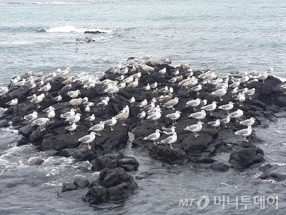 /사진제공=작은경제연구소