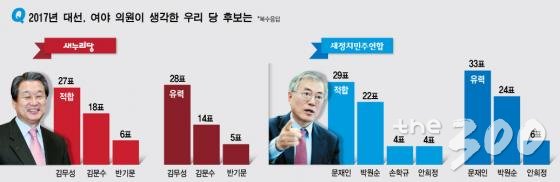 여야 국회의원이 뽑은 2017 대선후보는?/그래픽=김현정 머니투데이 디자이너