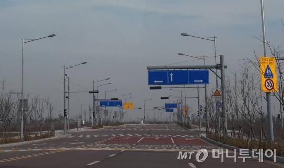 영종도 미단시티 전경. 도로와 공원만 조성돼 있다. /사진=김유경기자