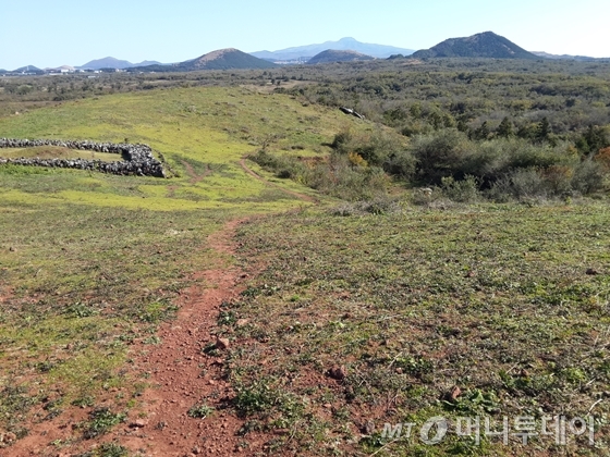 /사진제공=작은경제연구소