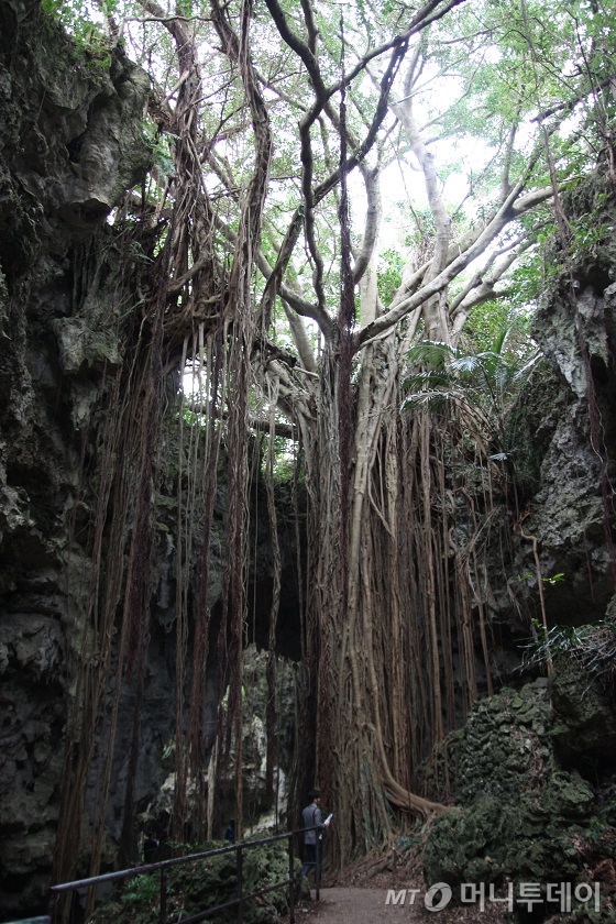 아메리칸빌리지 야경/사진=김유경기자
