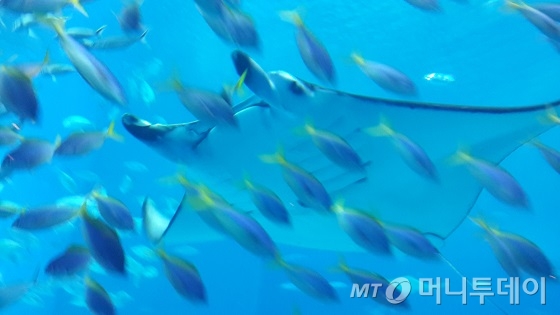 도자기마을/사진=김유경기자