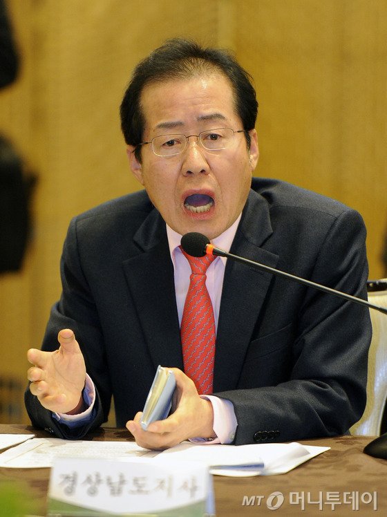 홍준표 경남도지사/ 사진=뉴스1