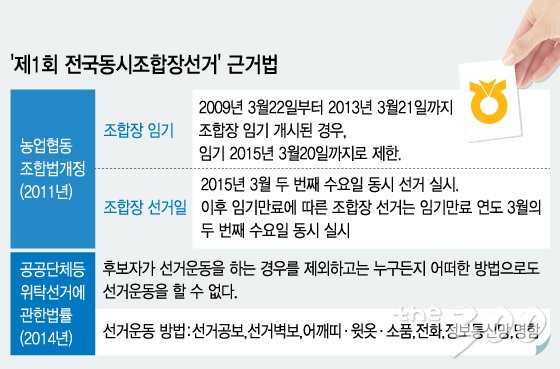 조합장선거 관련 법안/ 그래픽=이승현 디자이너