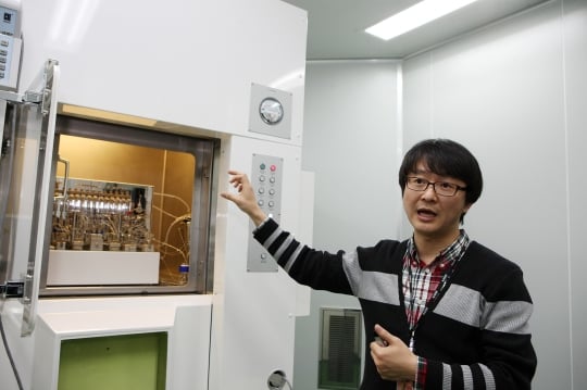 방사선 돌연변이 육종 케나프 농장/자료사진=한국원자력硏