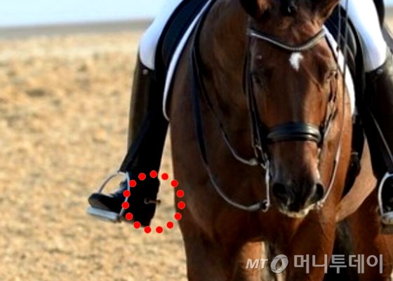 빨간 점선 안에 보이는 것이 '박차'입니다. /사진=뉴스1