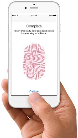 애플 아이폰에 적용된 지문인식 시스템. '애플페이'의 본인인증 수단으로 이용된다. /사진제공=애플.