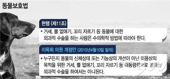 /그래픽=이승현 디자이너