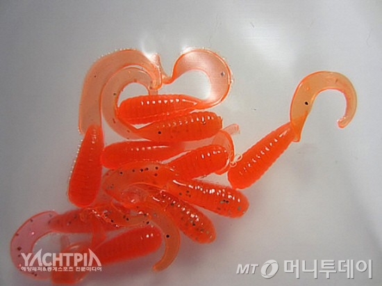 테일 그럽웜/사진제공=요트피아
